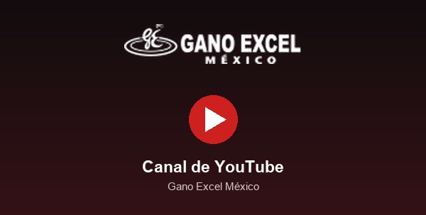 Canal de YouTube de Gano Excel México